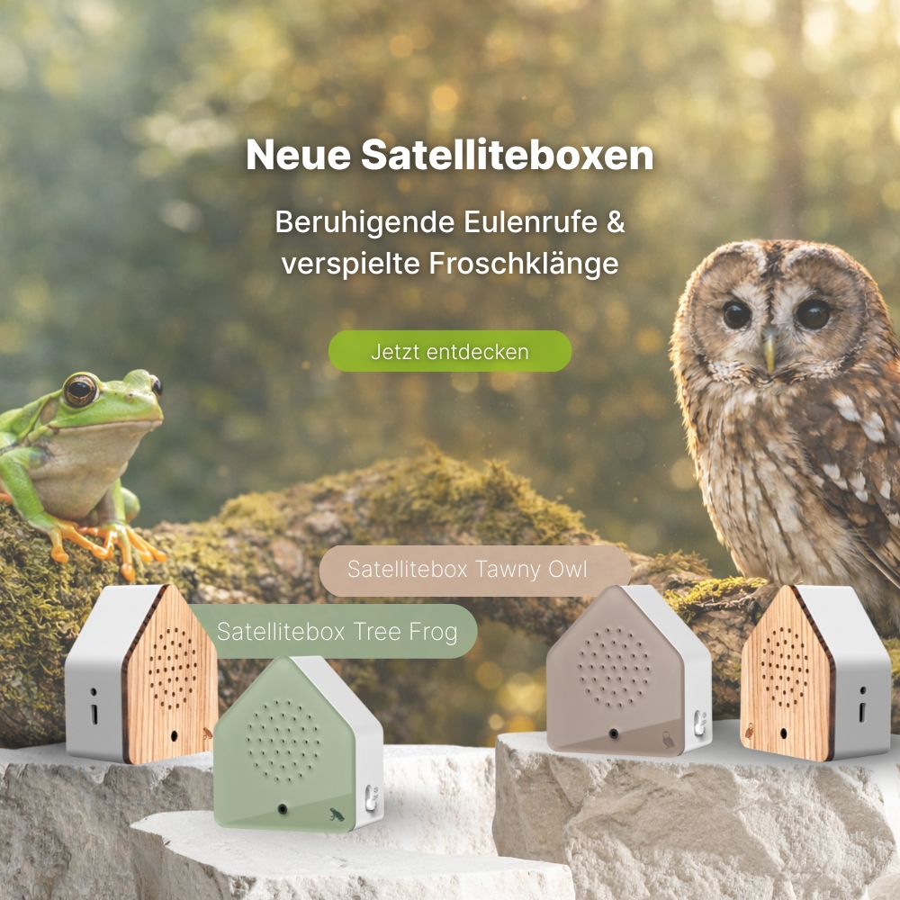 Banner Satellitebox Tawny Owl Tree Frog Mobile Webseite 1000x1000px -Birdytimer- DE